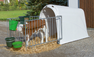 Kälberhütte CalfHouse Master Plus 