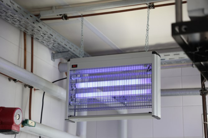Kerbl Fliegenvernichter EcoKill angeschaltet mit 2 blau leuchtenden Leuchtstoffröhren von der Decke hängend