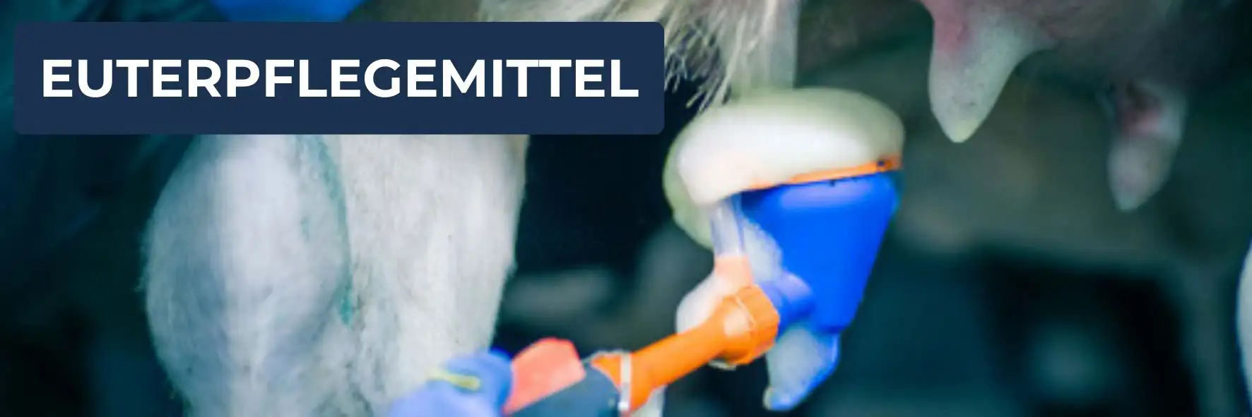Euterpflegemittel für Milchkühe und weitere Nutztiere