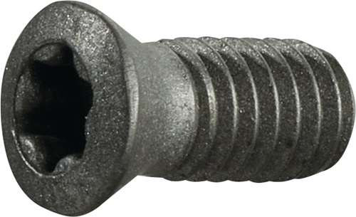 TECWERK Spannschraube Größe T15 für Plattengröße TCGX 1635