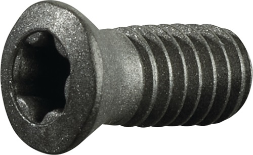 TECWERK Spannschraube Größe T15