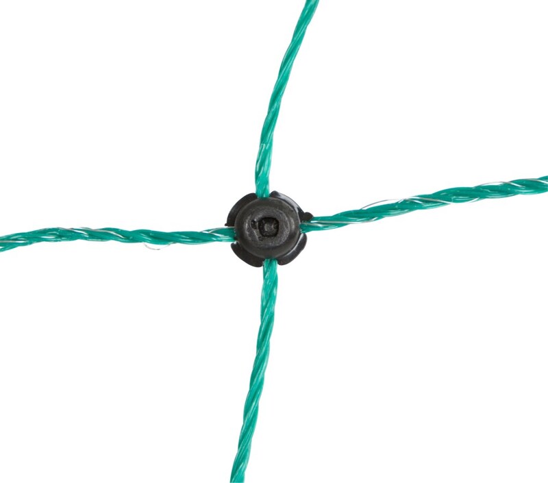 Schwarzer Knotenpunkt des grünen Geflügelnetzes