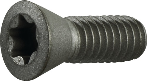 TECWERK Spannschraube Größe T20