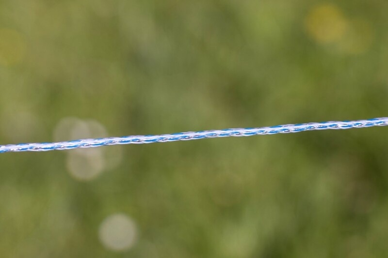 Blau-weiße Weidezaunlitze Nahaufnahme mit grünem Hintergrund