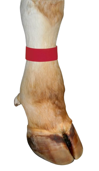 Fesselmarkierungsband, rot