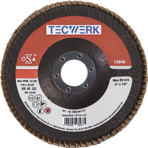 TECWERK Fächerscheibe  Durchmesser  125 mm Körnung 60 konisch